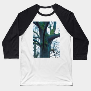 Rainbow tree Baseball T-Shirt